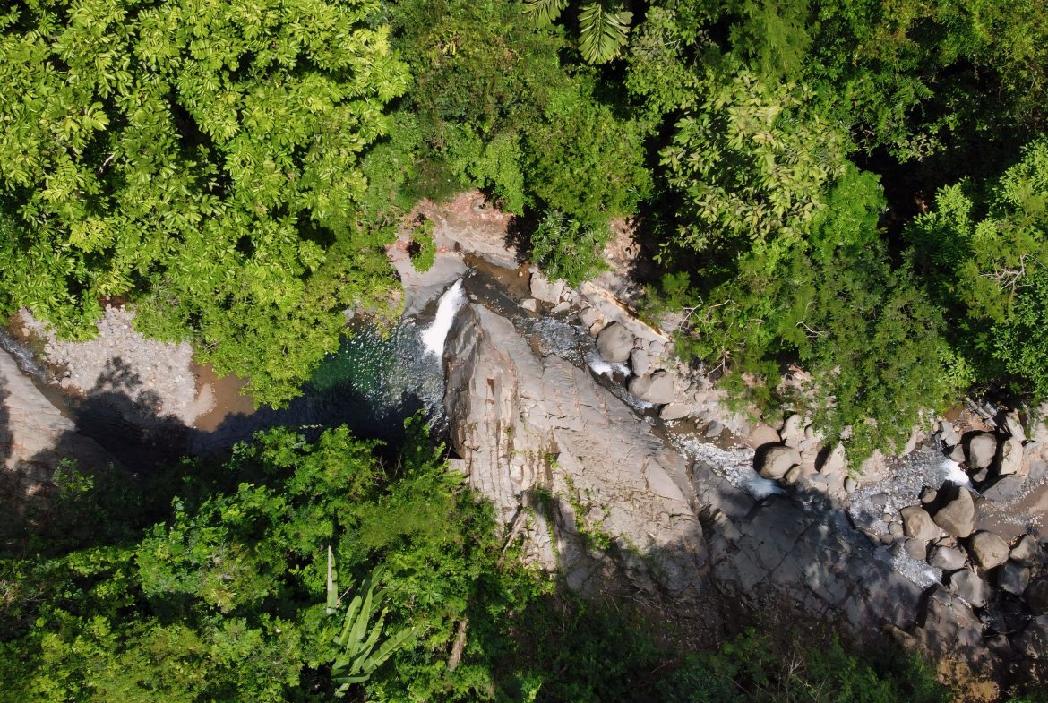 JUNGLE DREAMS FARM: WHERE NATURE MEETS SERENITY – 20 ACRES